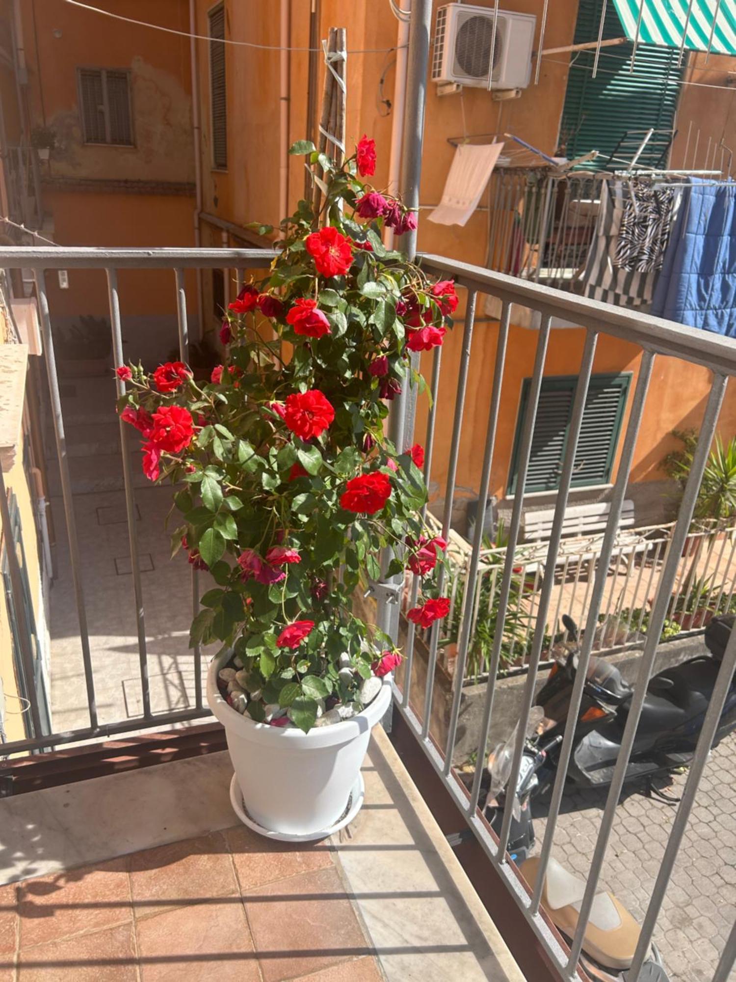 Sissi House Salerno Appartement Buitenkant foto